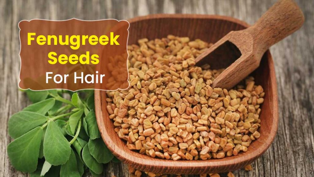 Fenegriekolie voor haargroei: een eeuwenoud middel met moderne waarde main fenugreek for hair